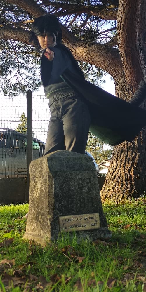 Régulus Black v1 - Photo 2