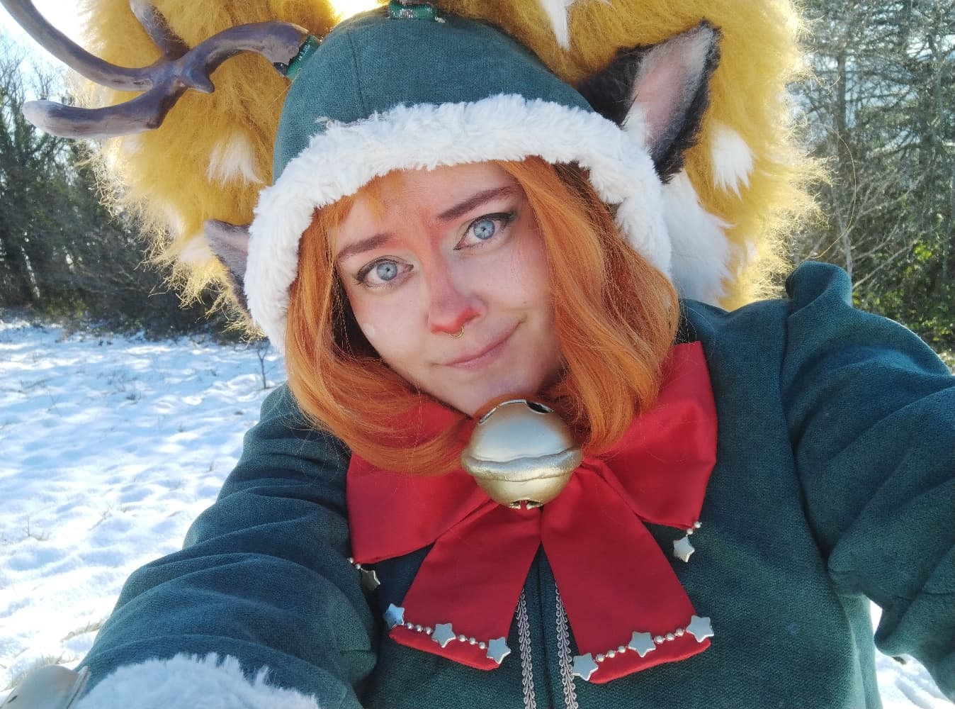 Snow fawn poppy - Photo 14