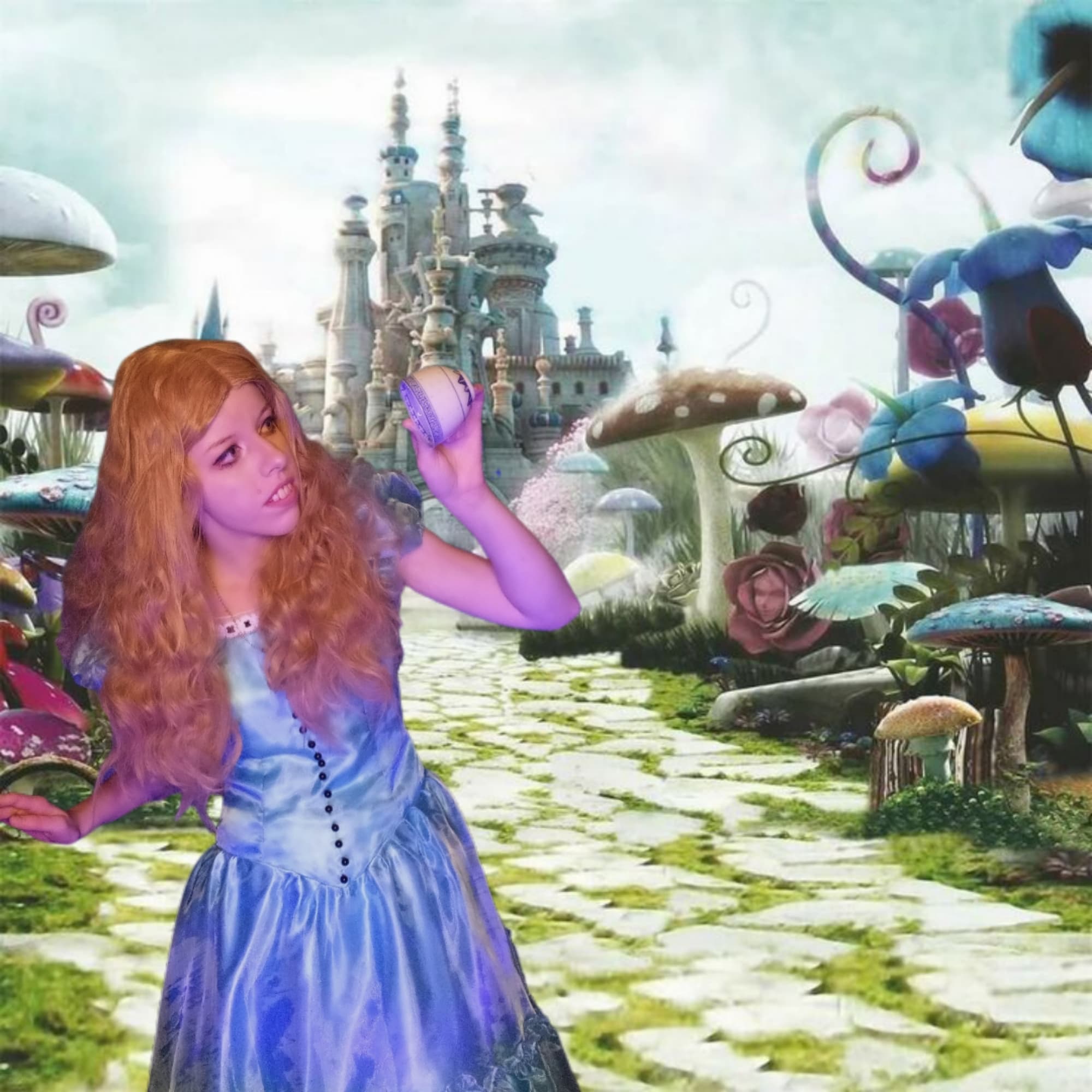 Alice Tim Burton ver - Photo 4