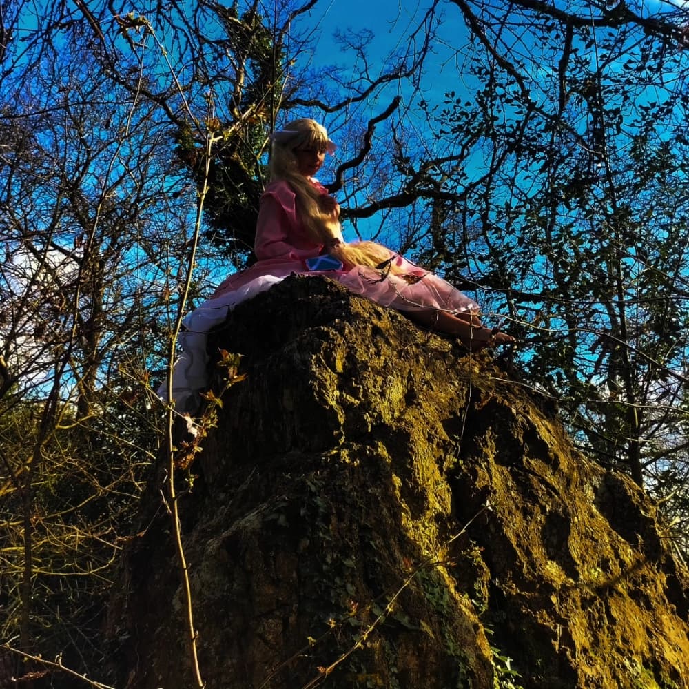 Mavis vermillion  - Photo 15