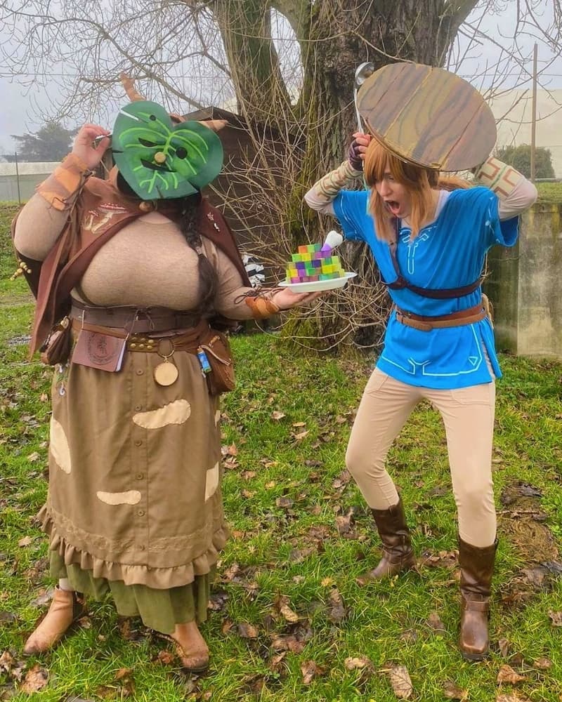 Link (Botw) - Photo 20