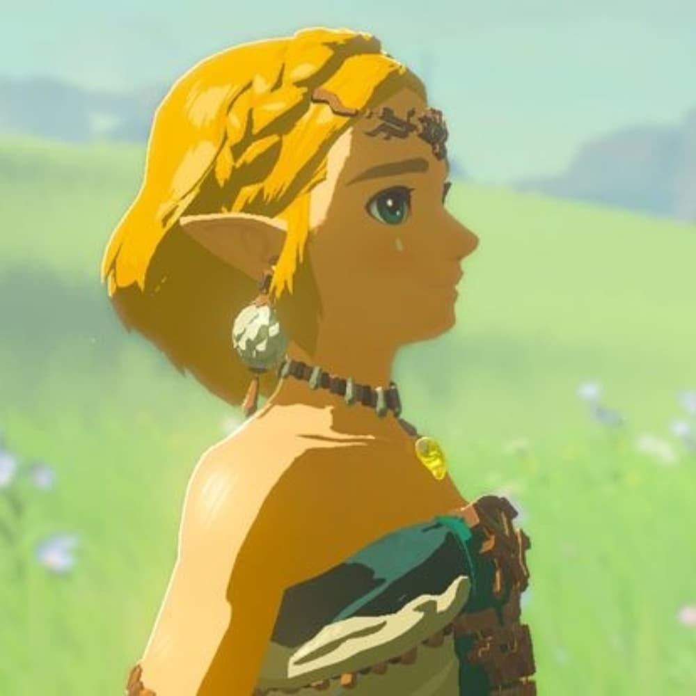 Zelda Totk