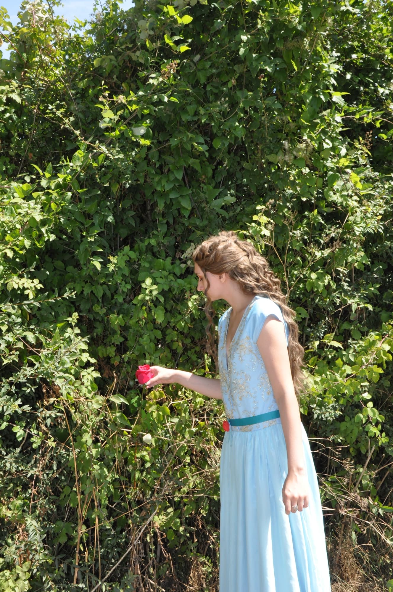 Margaery Tyrell - Photo 57