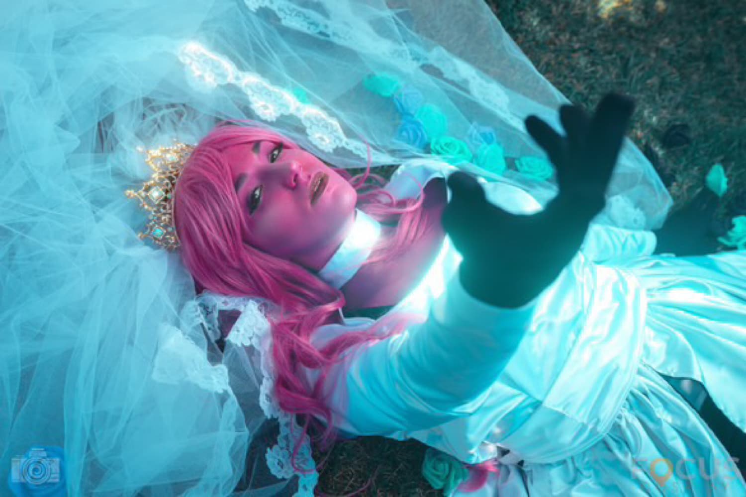 Persephone - focus  - Photo 3