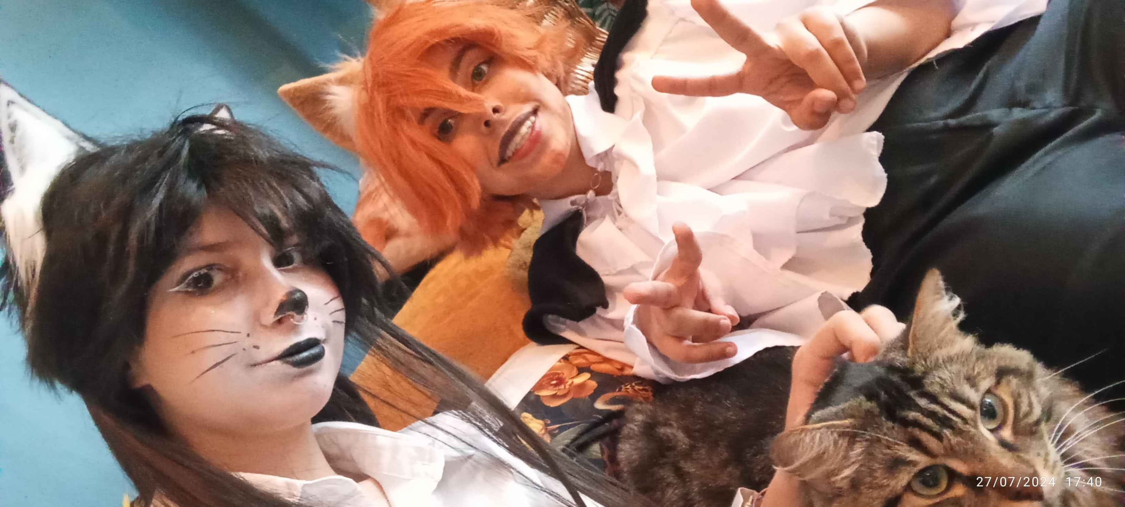 Chat Potté  - Photo 2