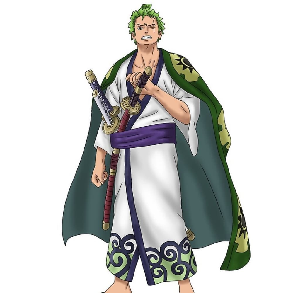 Zorro v. Wano Commission