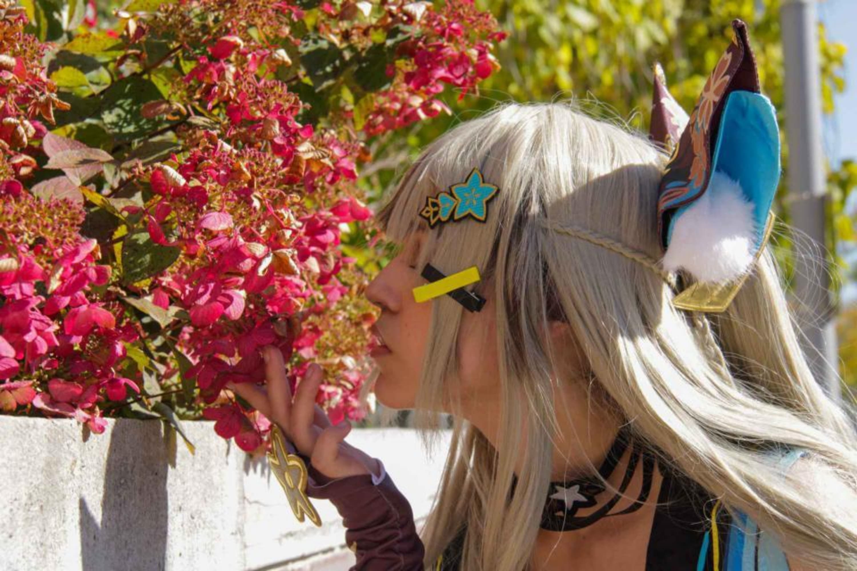 Class project - Photo 18