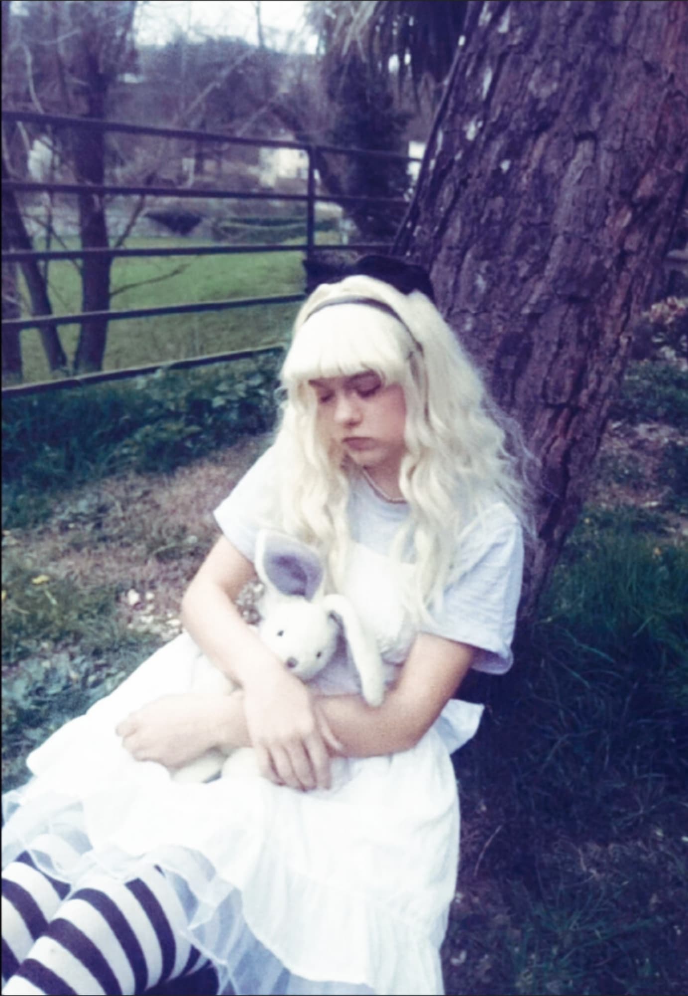 ALICE  - Photo 15