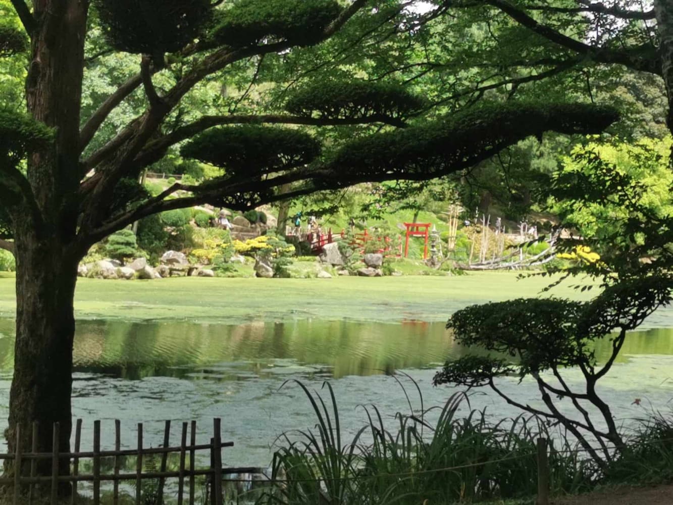 Photo kamiplay  - Photo 18