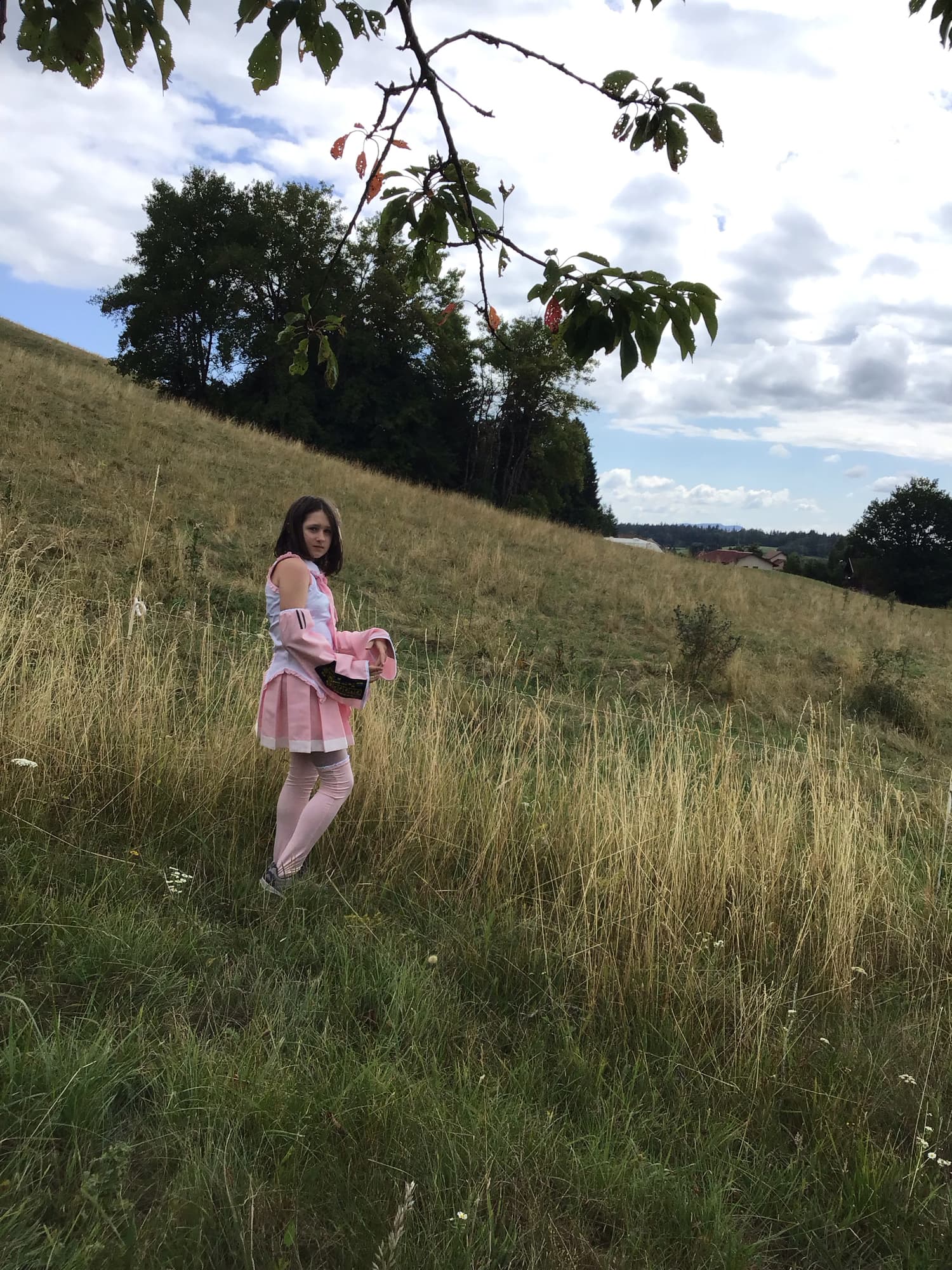 Sakura miku - Photo 3