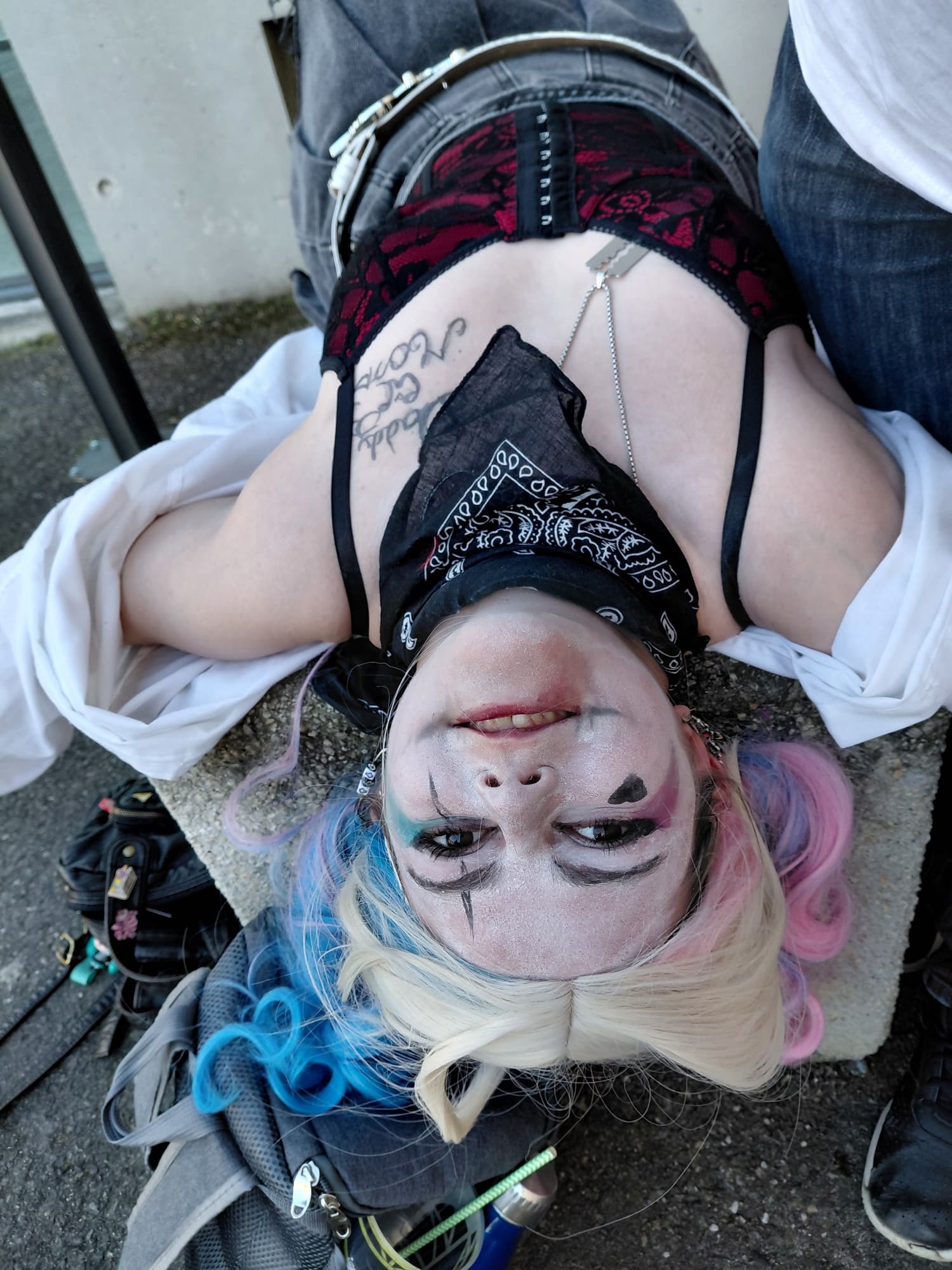 Harley quinn  - Photo 7