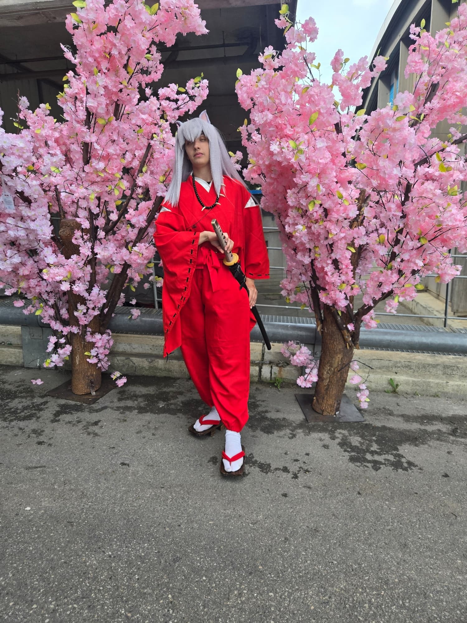Inuyasha  - Photo 7