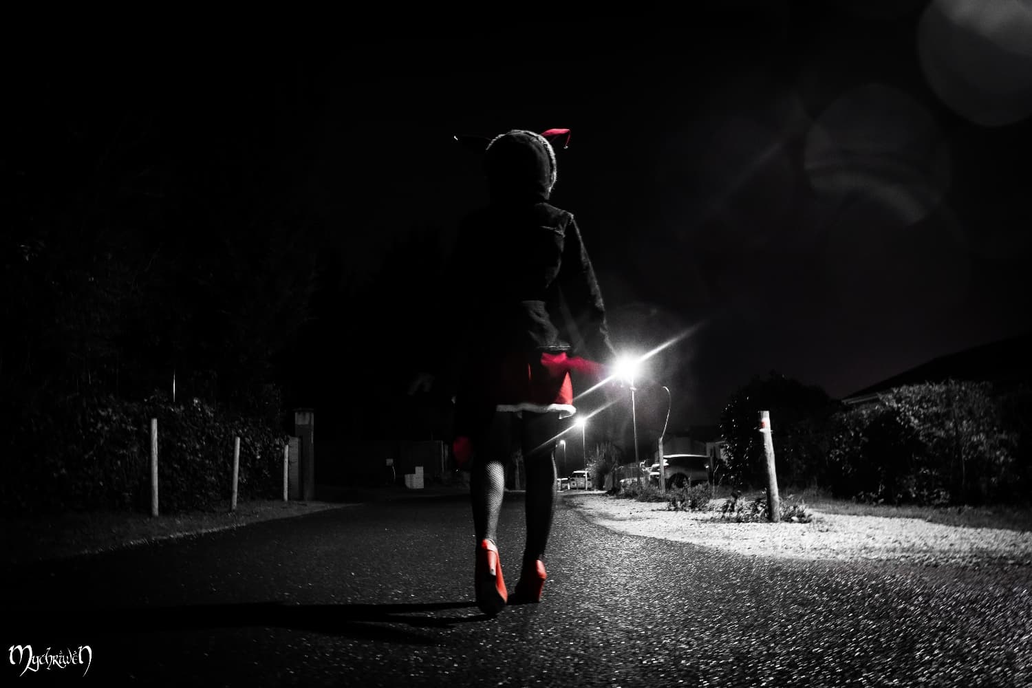 Nuit Décembre 2024 - Photo 4