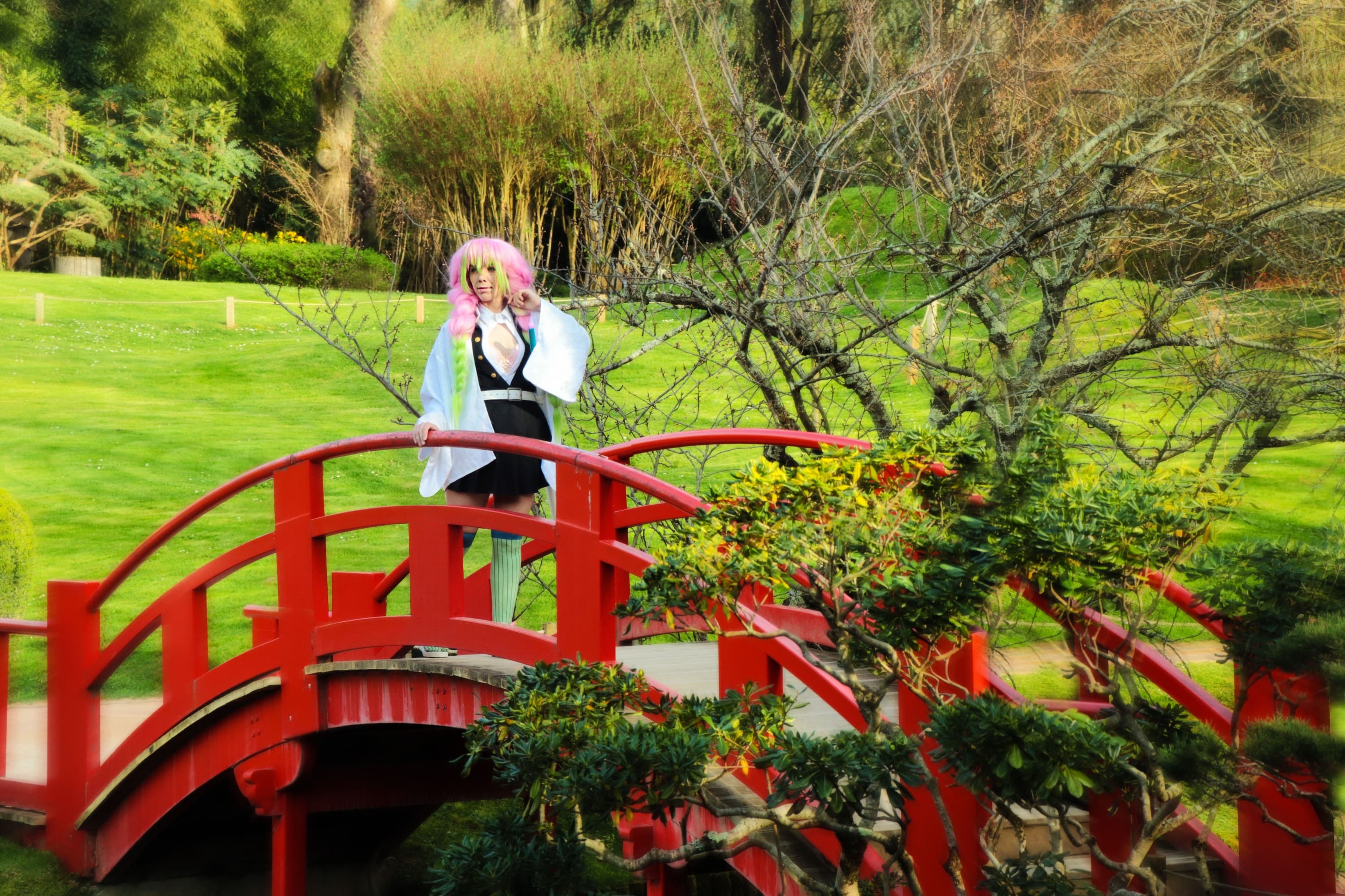 Mitsuri kanroji - Photo 2
