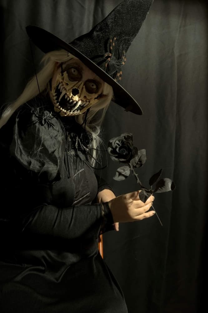 Sorcière  - Photo 3