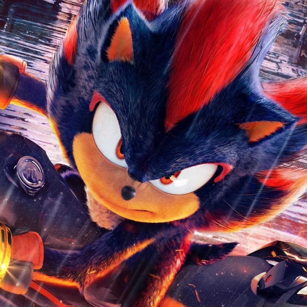 Shadow The Hedgehog