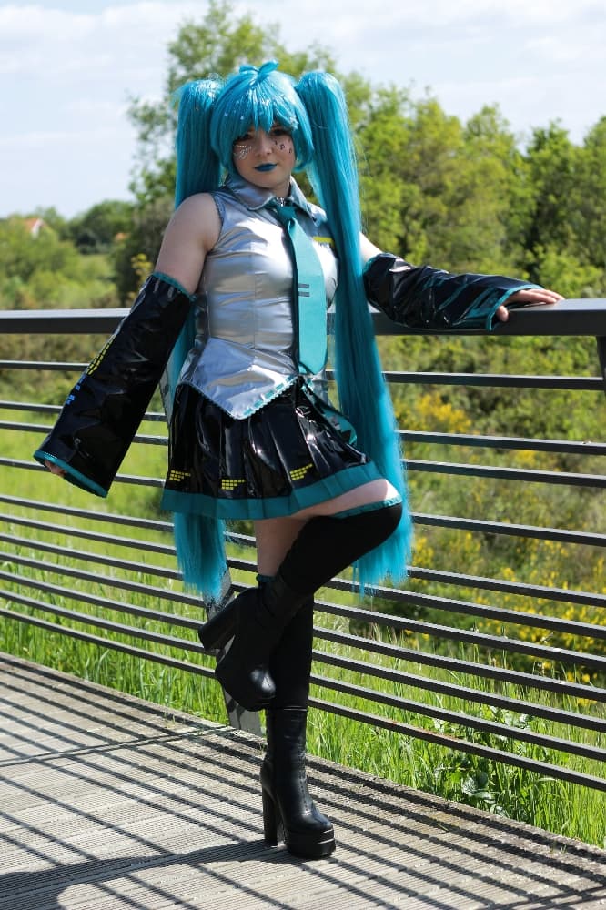 Miku - Photo 7