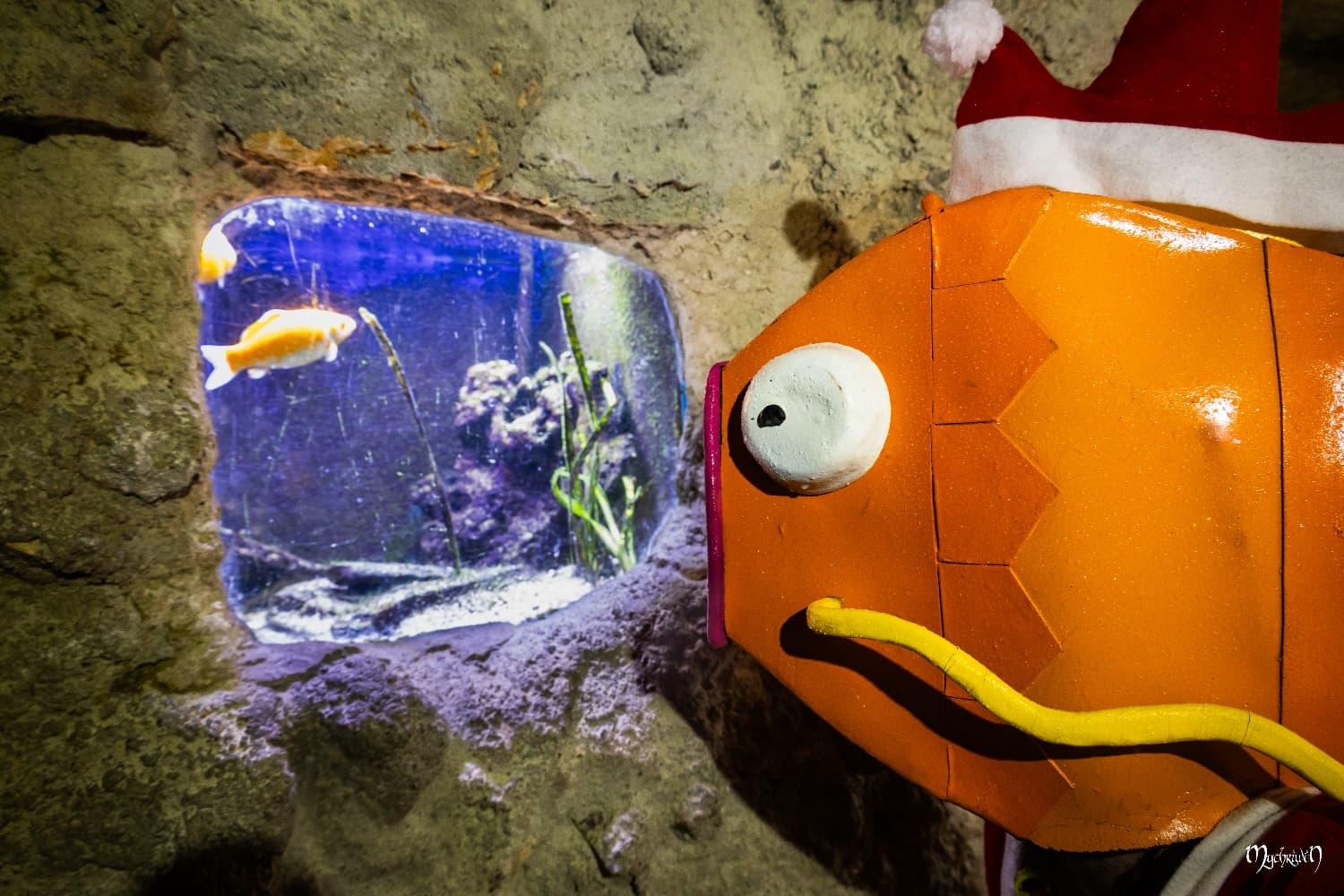 A l'approche de Noël - Photo 6