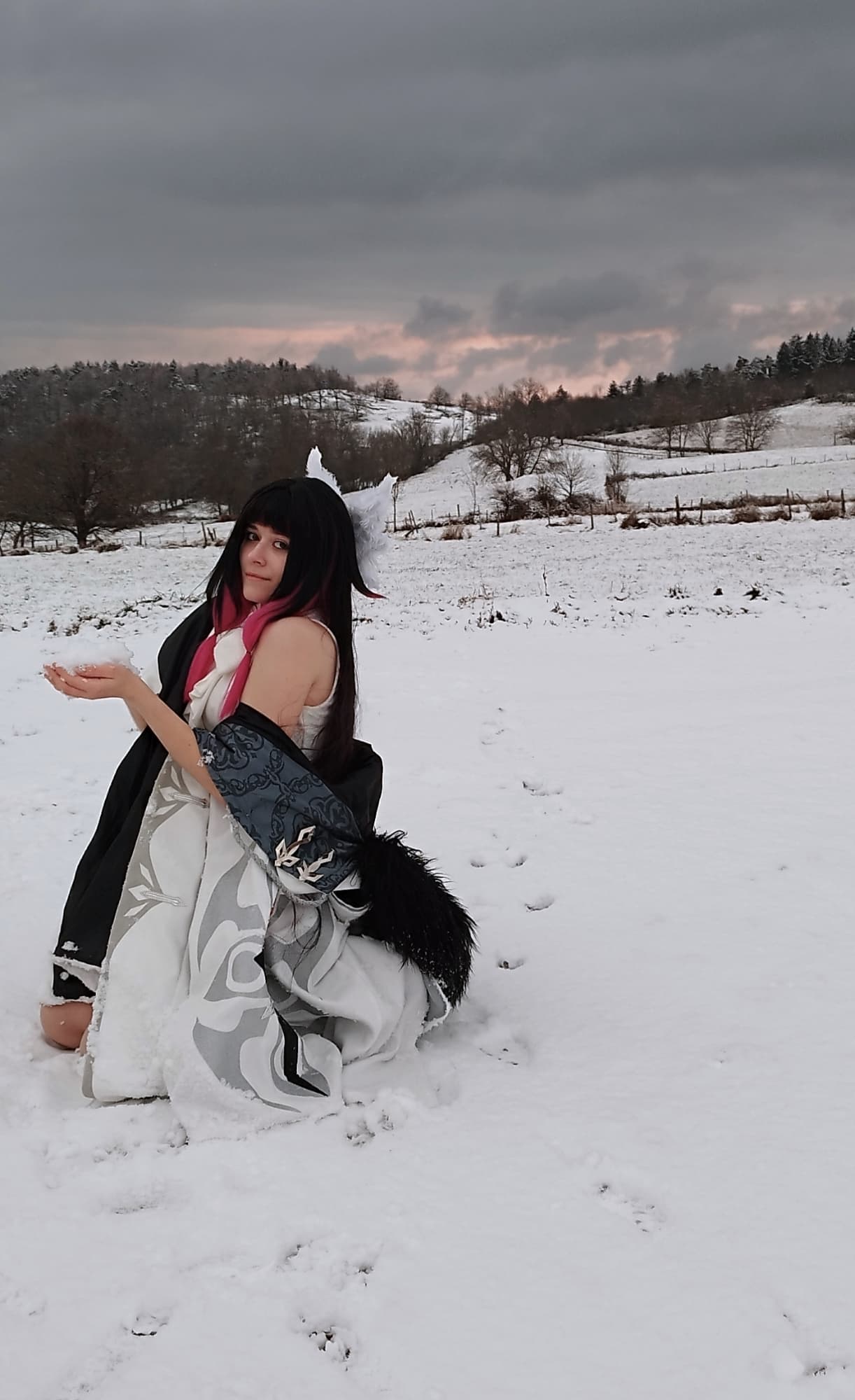 Columbina  - Photo 6