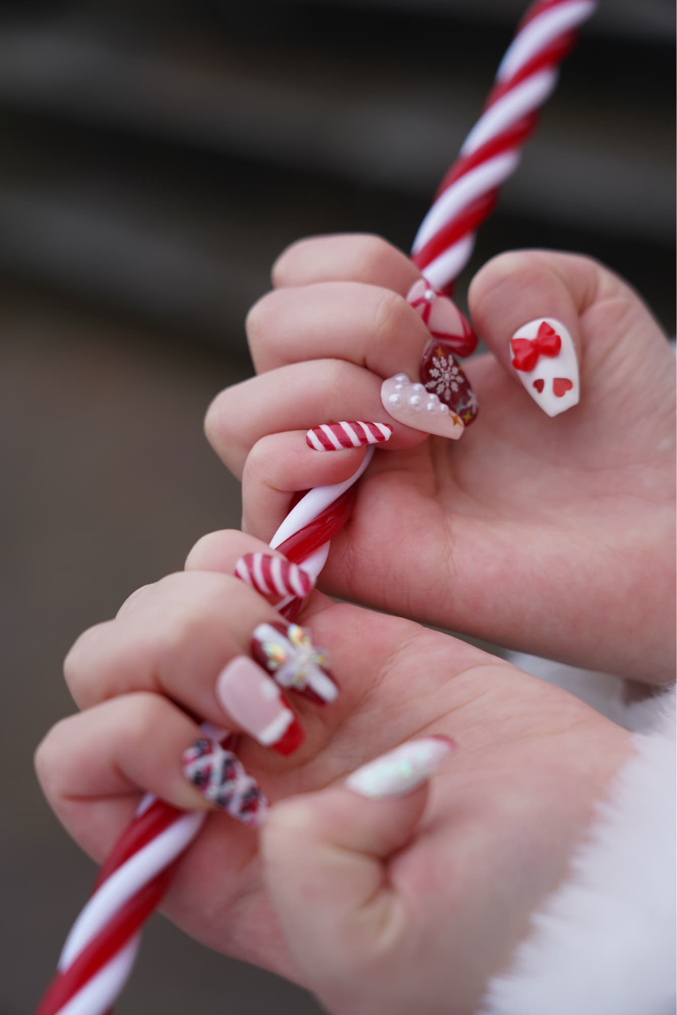 Marin Christmas  - Photo 4