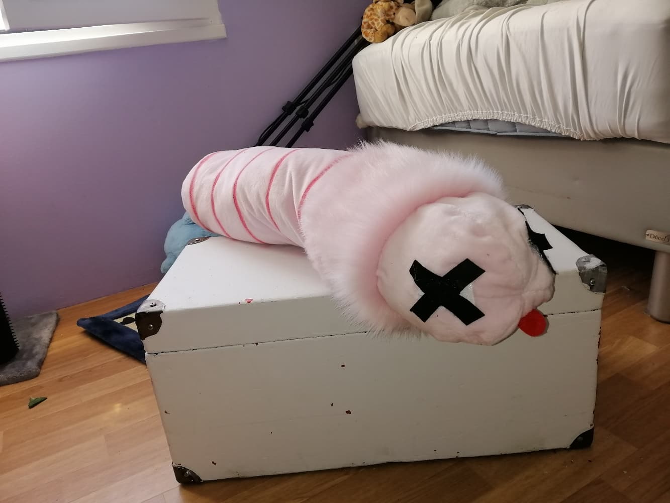 Stellar v2 - Photo 4