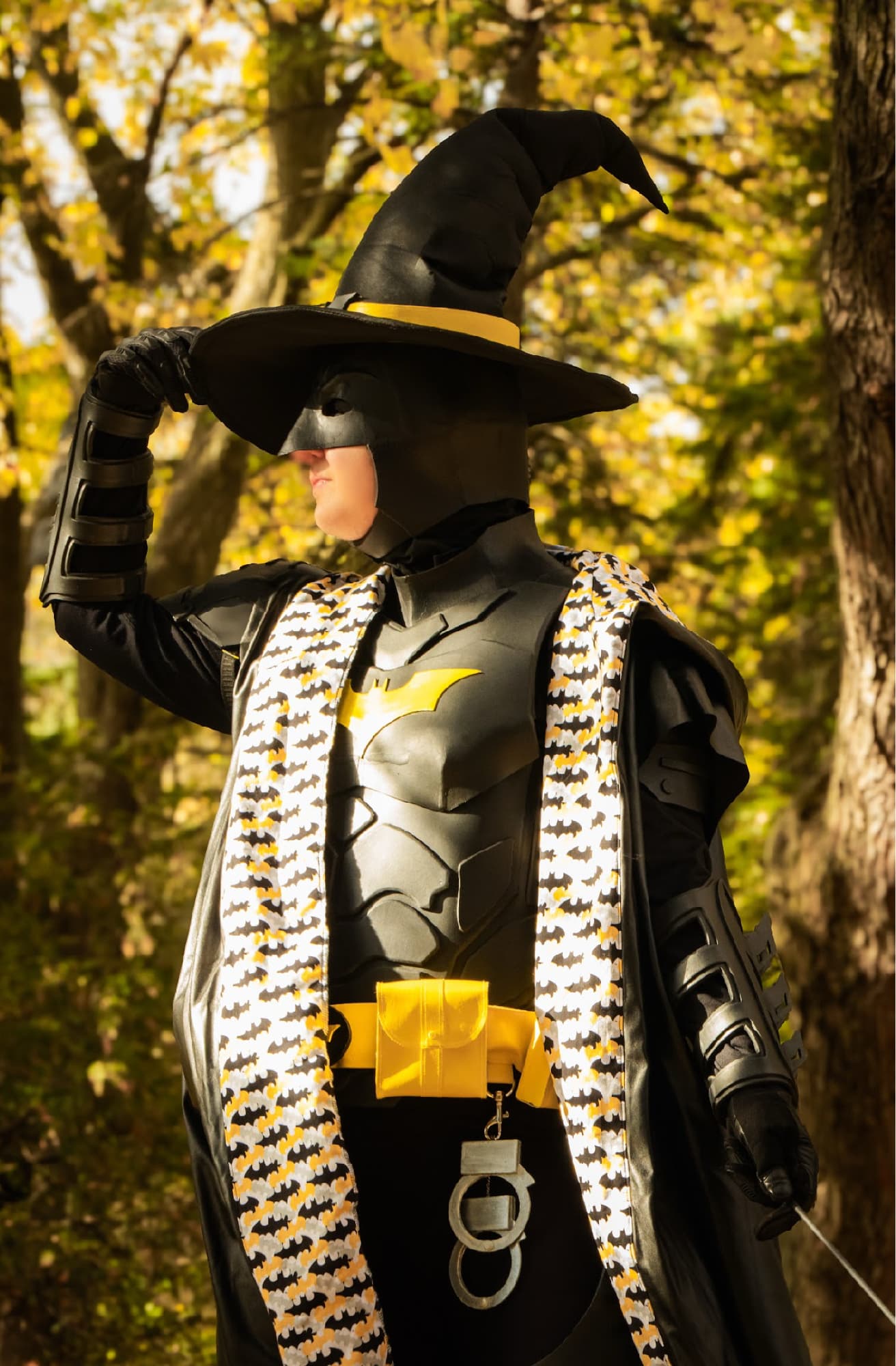 Batman Wizard - Photo 4