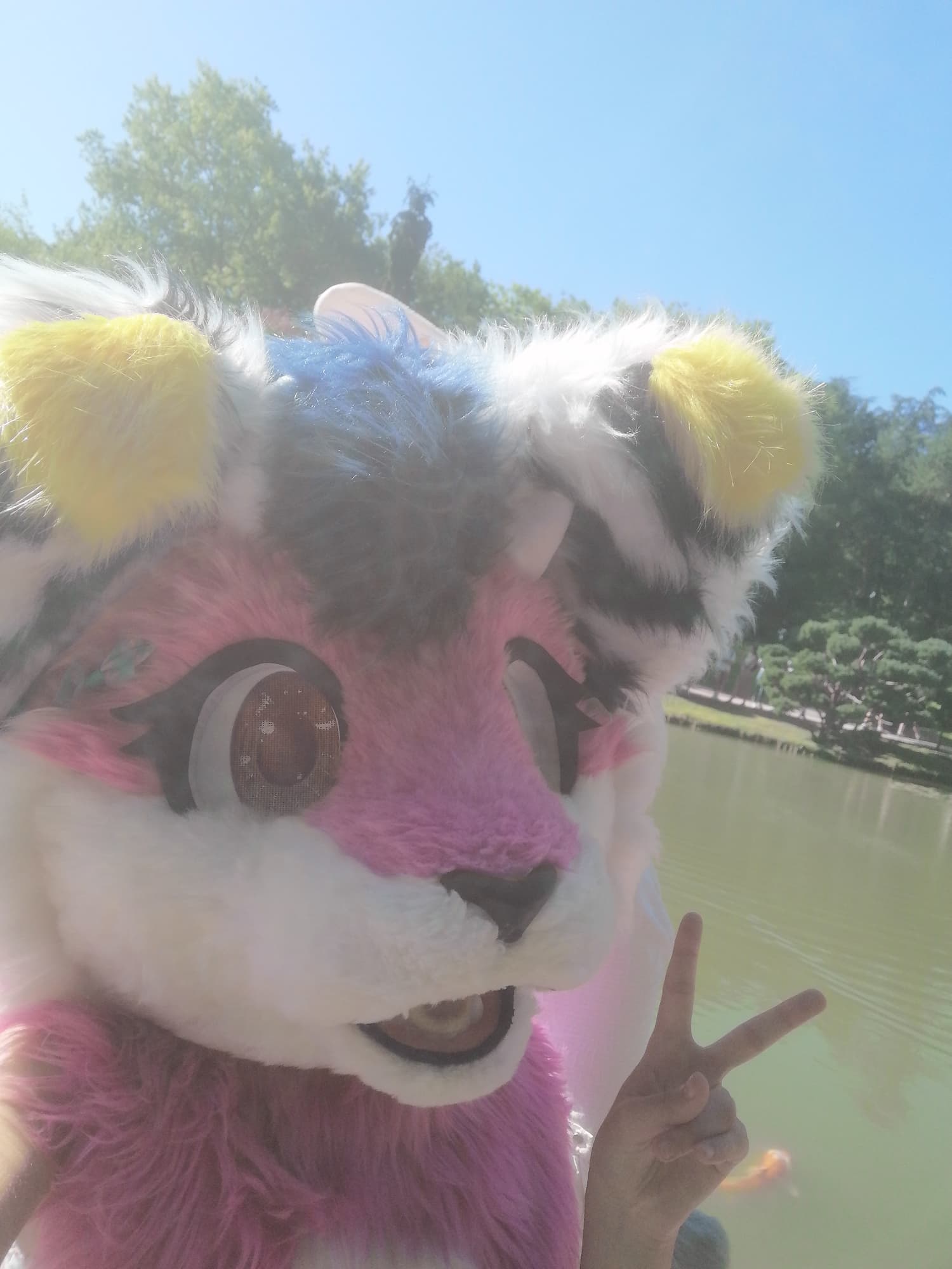 Tokyo Market Toulouse 