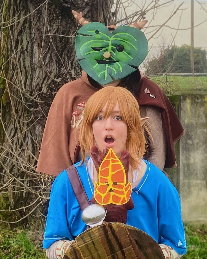 Link (Botw) - Photo 17