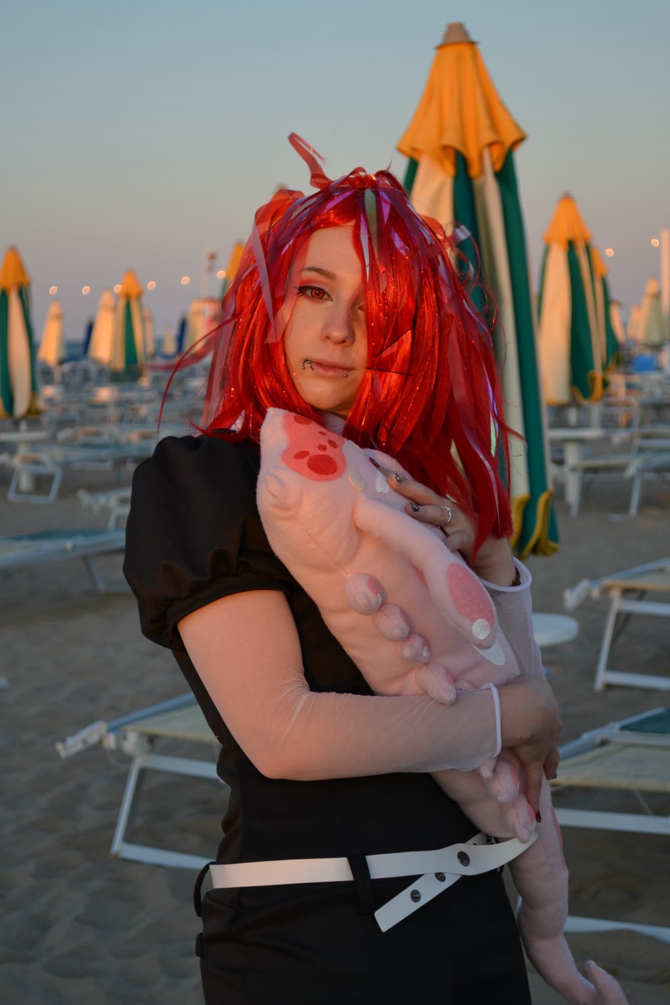Cinnabar  - Photo 11