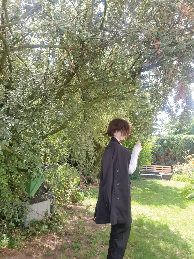 Dazai - Photo 7