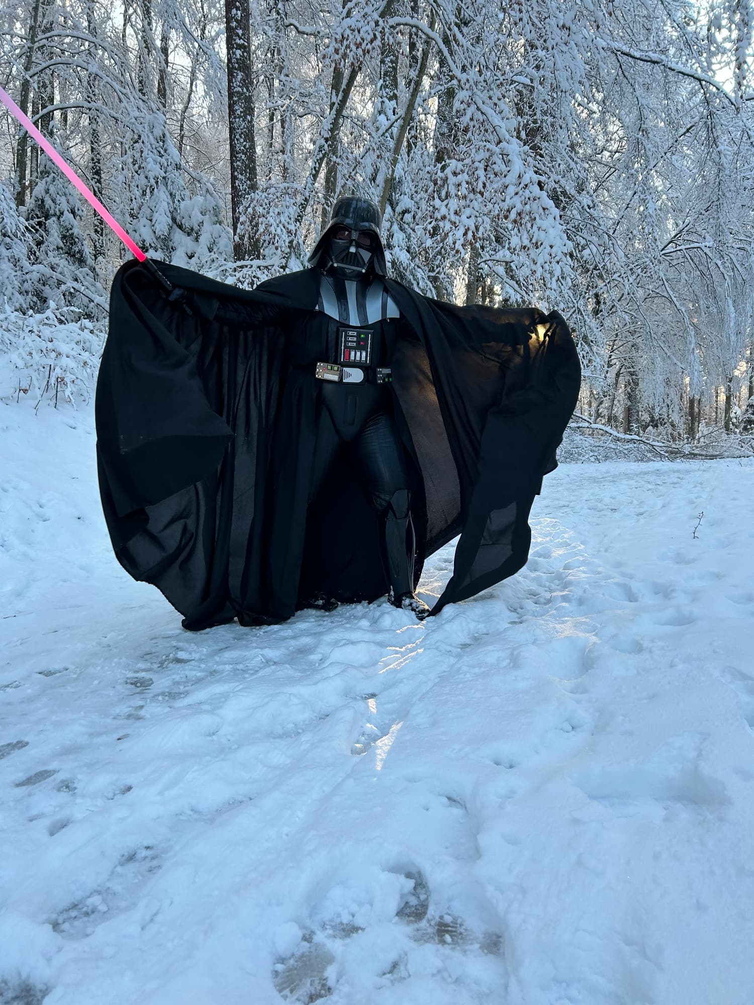 Snow Vader - Photo 41
