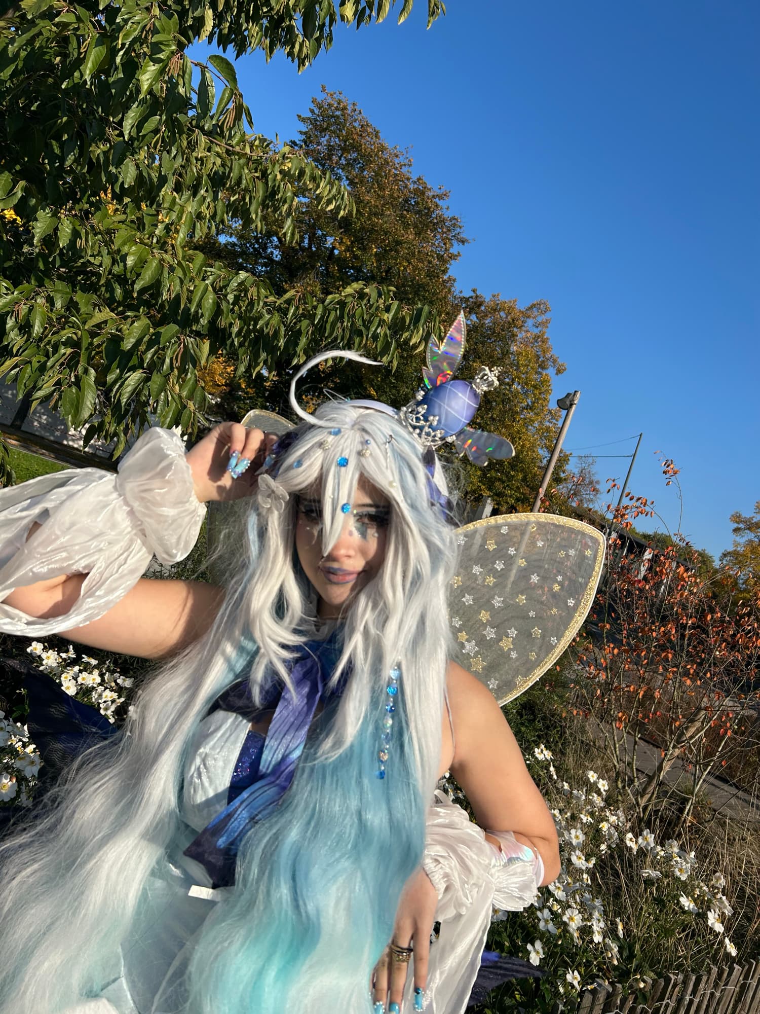 Miku butterfly  - Photo 6