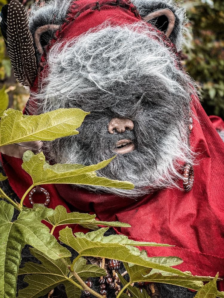 Un Ewok À Vitrolles - Photo 4