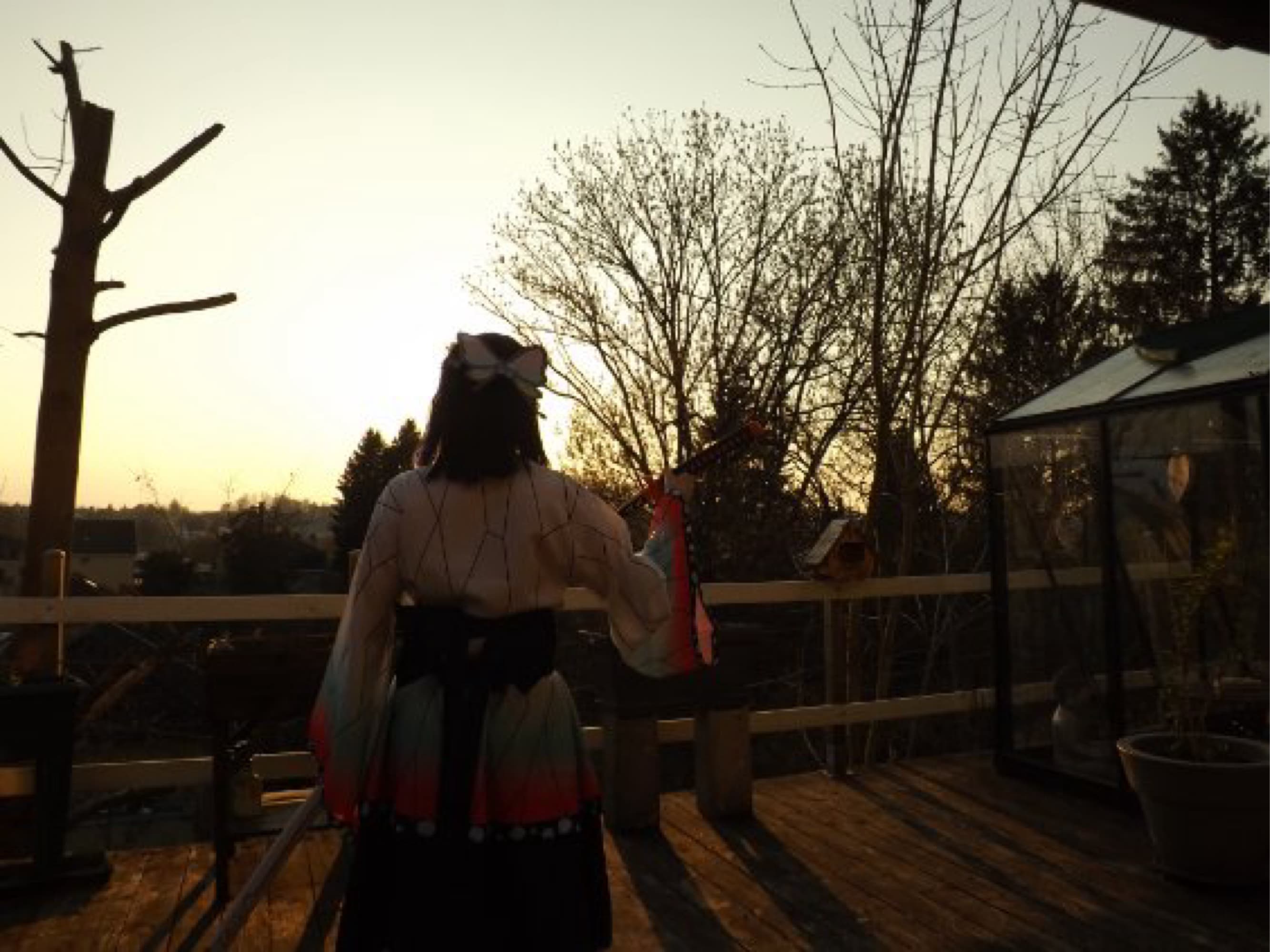 Shinobu kocho  - Photo 10