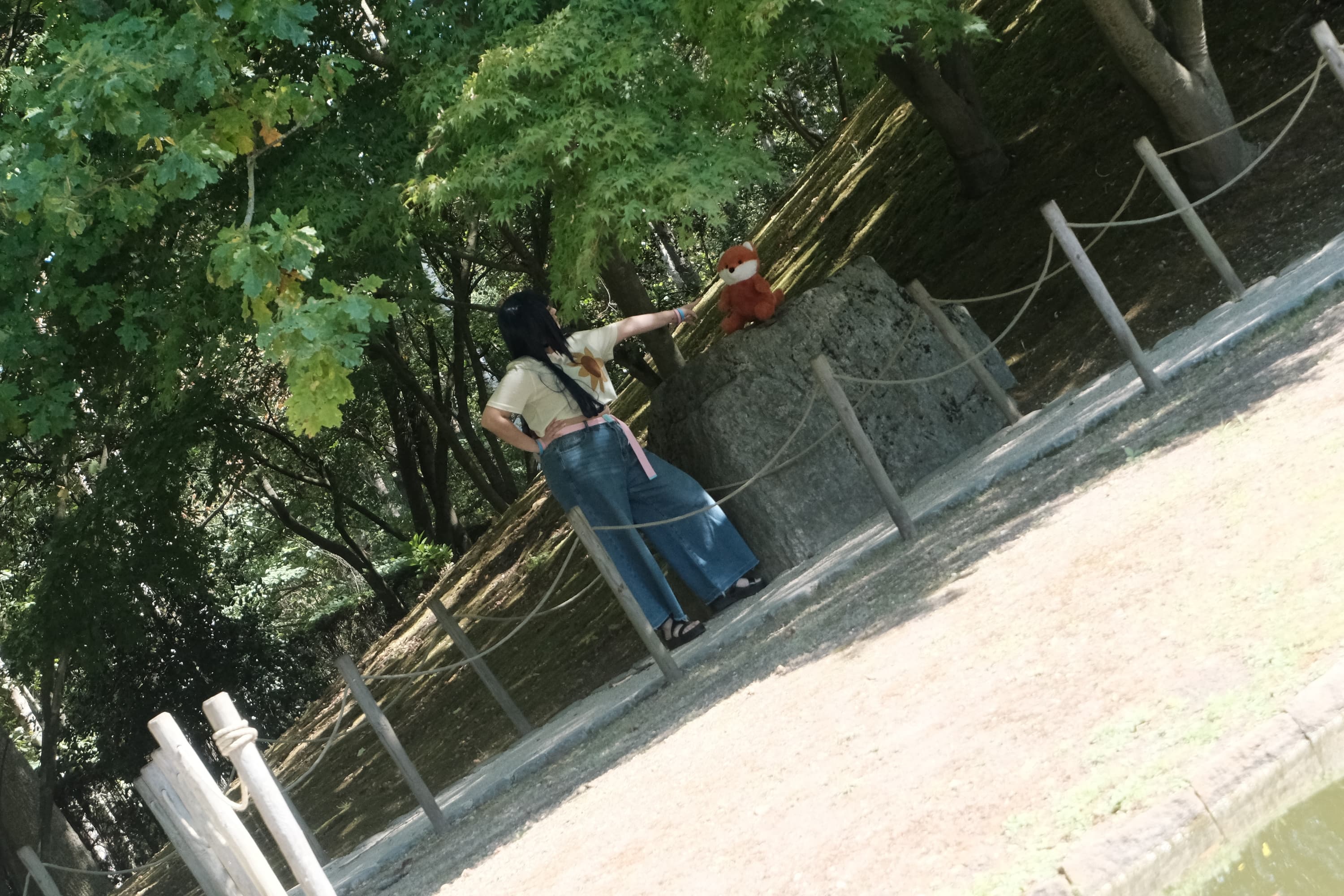 Himawari  - Photo 26