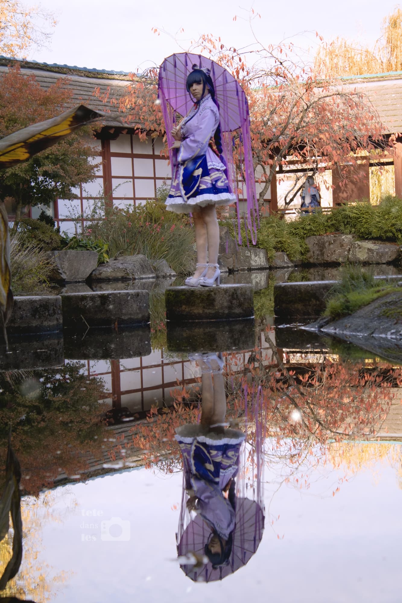 Raiden Shogun - Photo 5