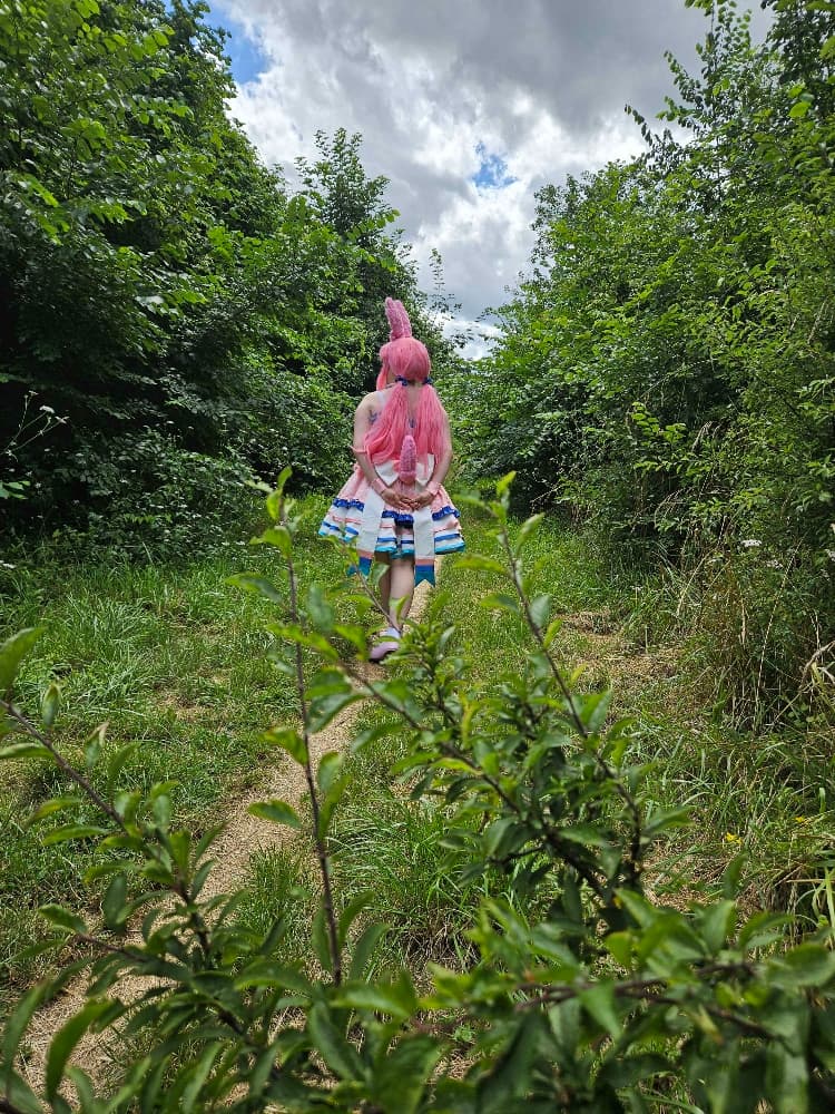 Nymphali forêt  - Photo 1