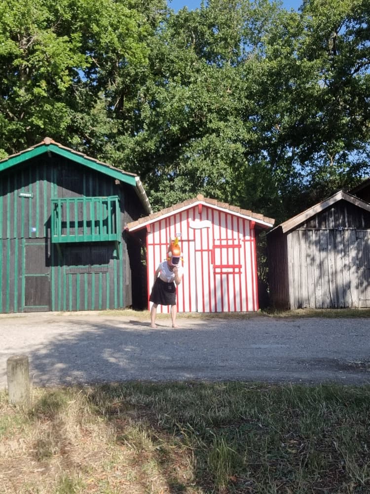 MagicarpettePortBiga - Photo 1