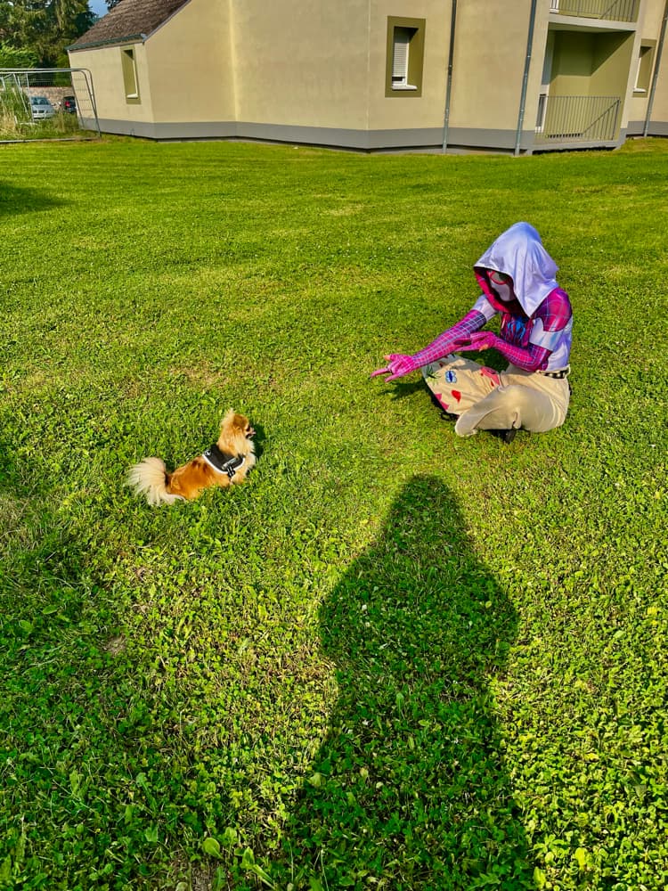 Spider butterfly  - Photo 20