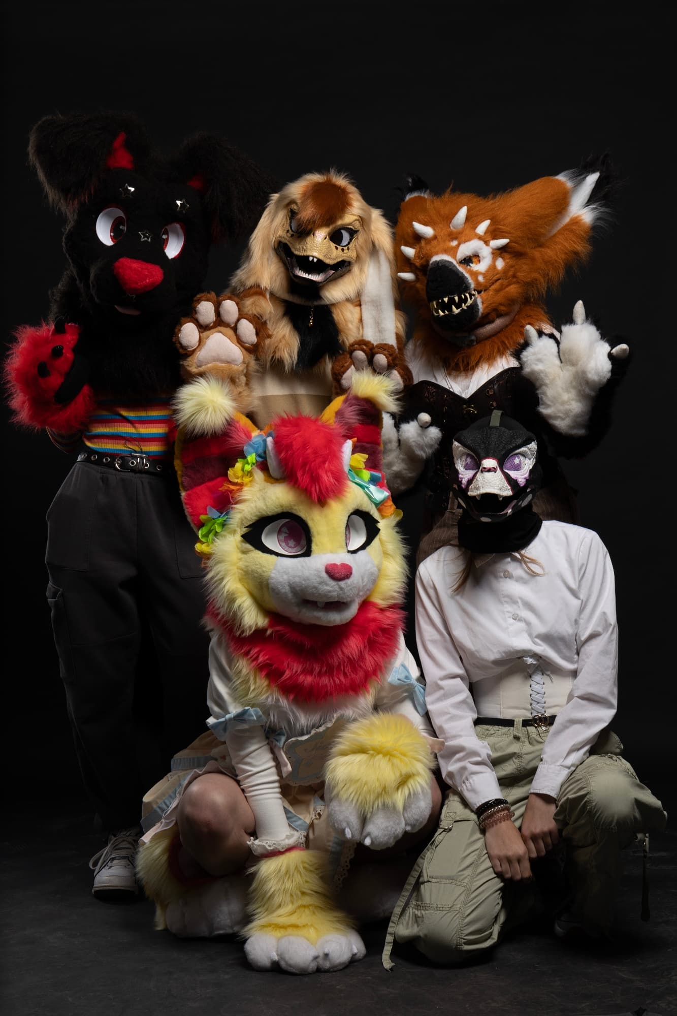 Conv/furmeet  - Photo 2