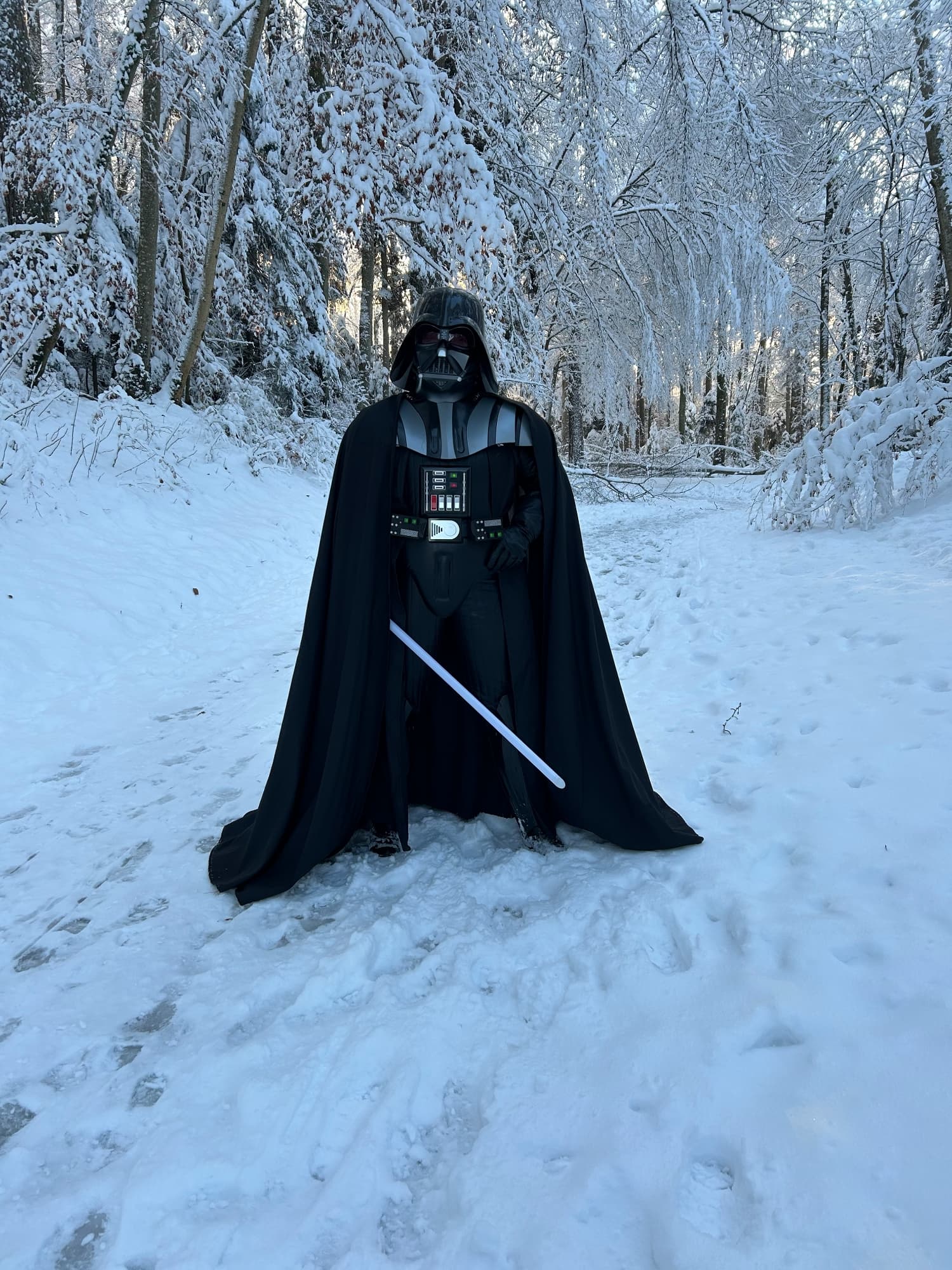 Snow Vader - Photo 19