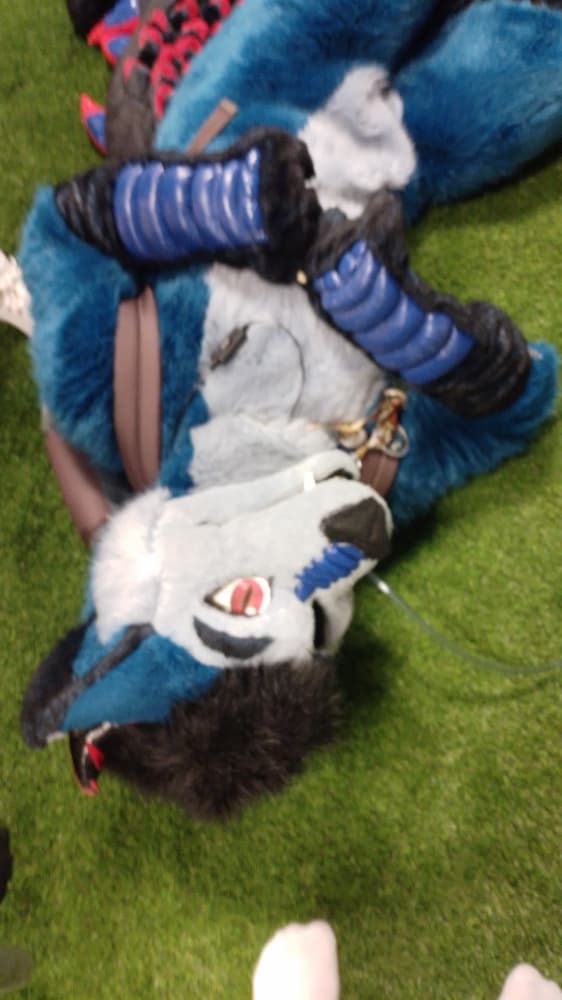 Hashtag festival - Photo 4