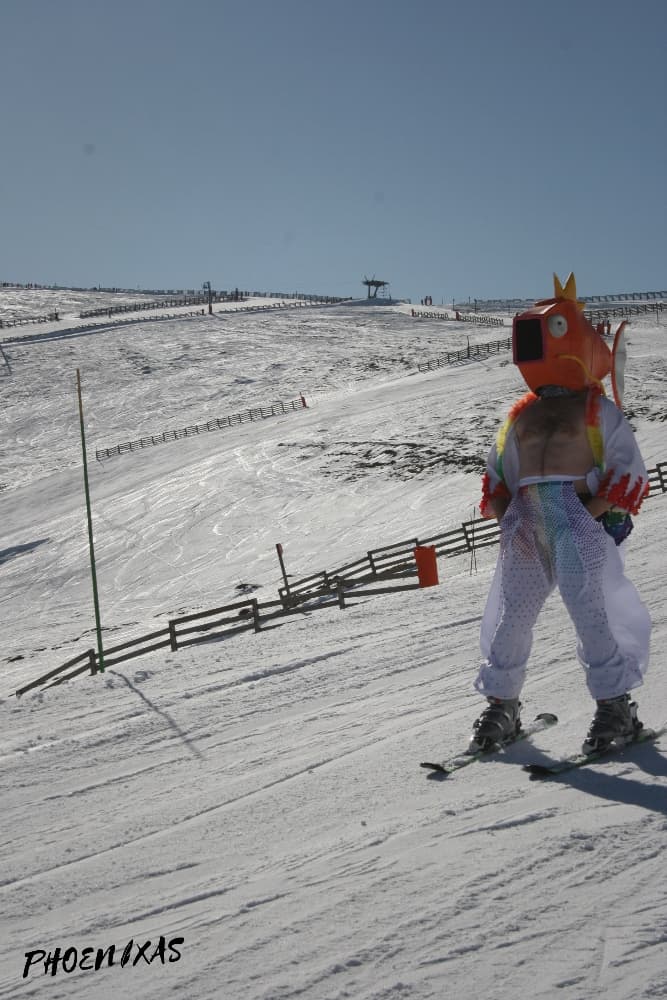 Magipride fait duSki - Photo 2