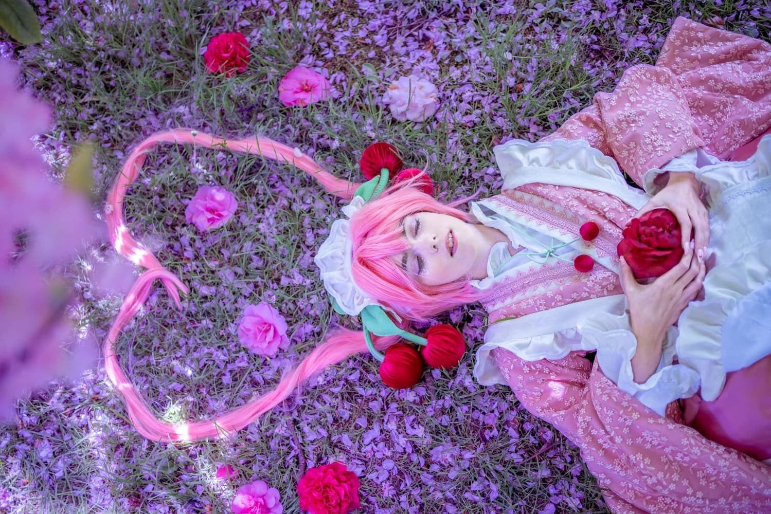 Sakura Miku -Hanami- - Photo 15
