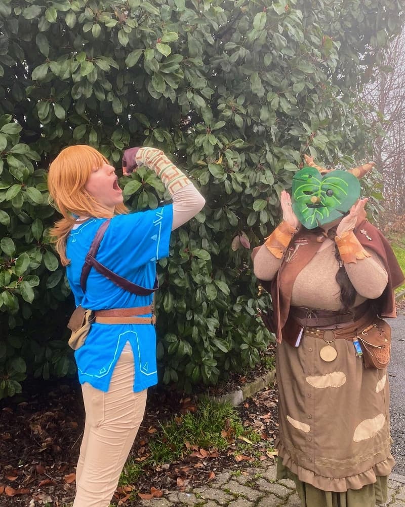 Link (Botw) - Photo 9