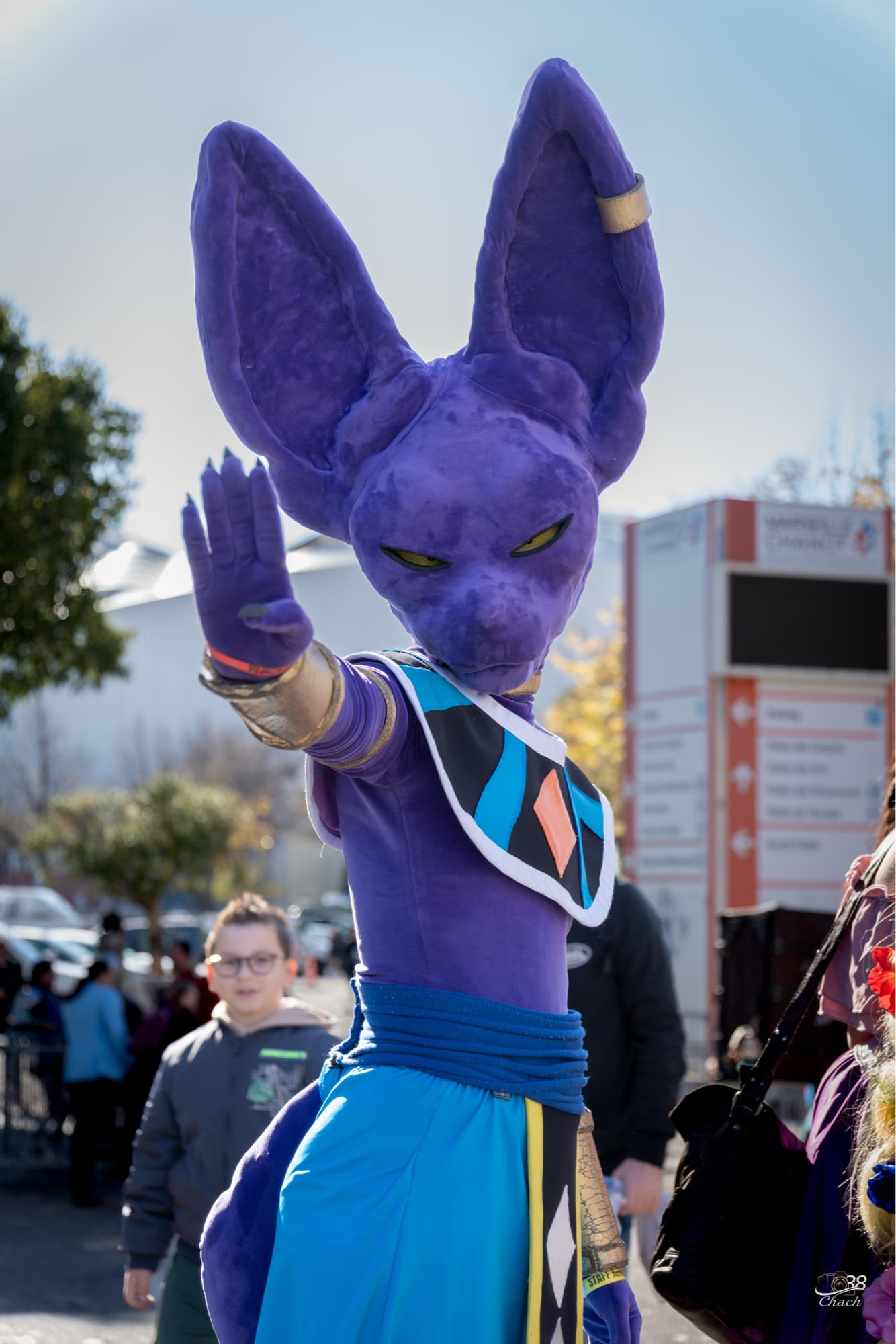 Beerus - Photo 1