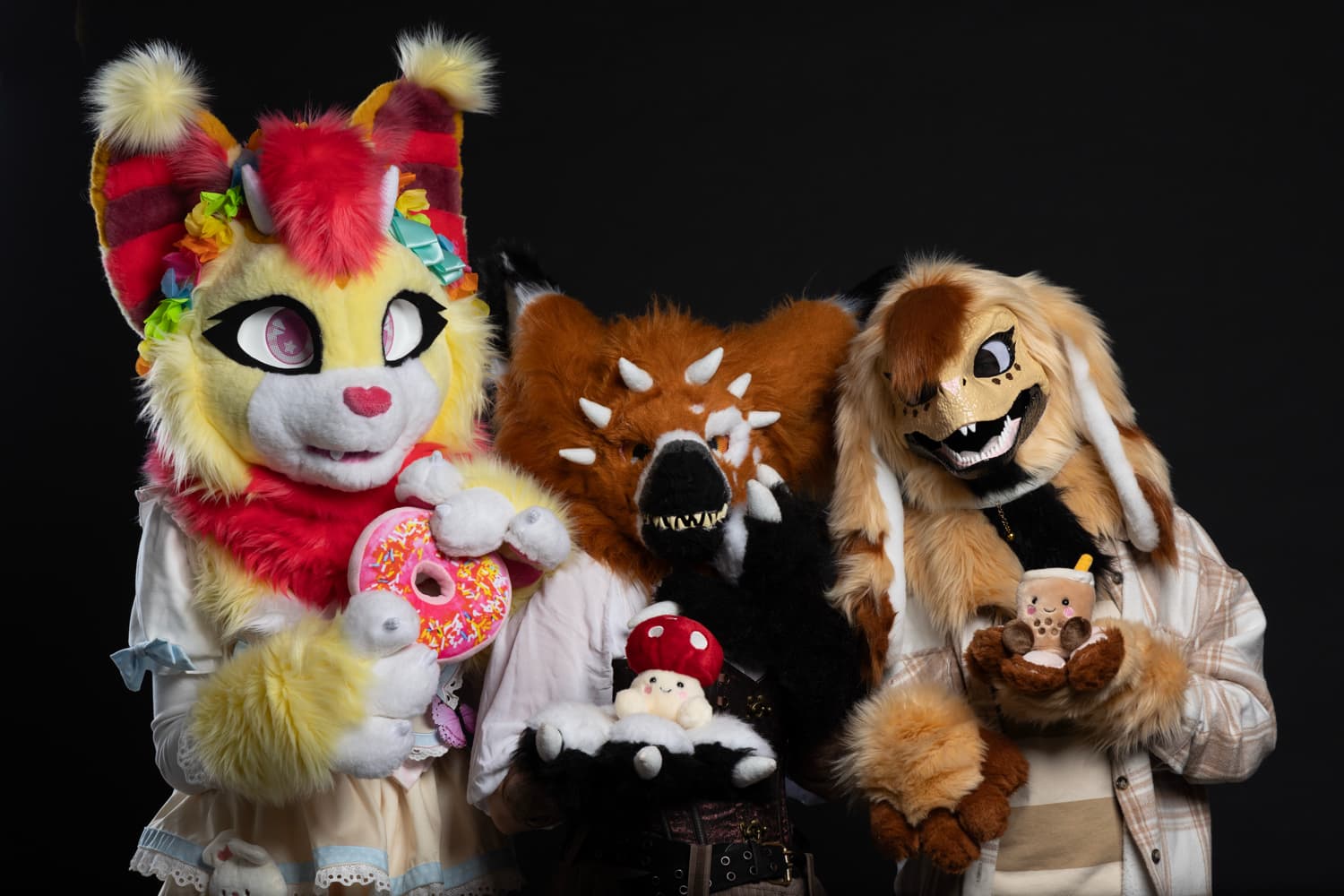 Photos Tapioca - Photo 14