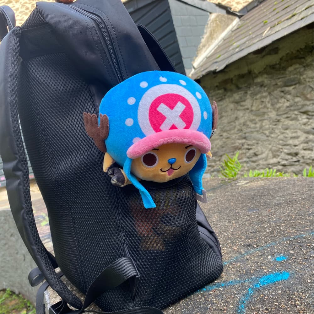 The perfect bag in convention