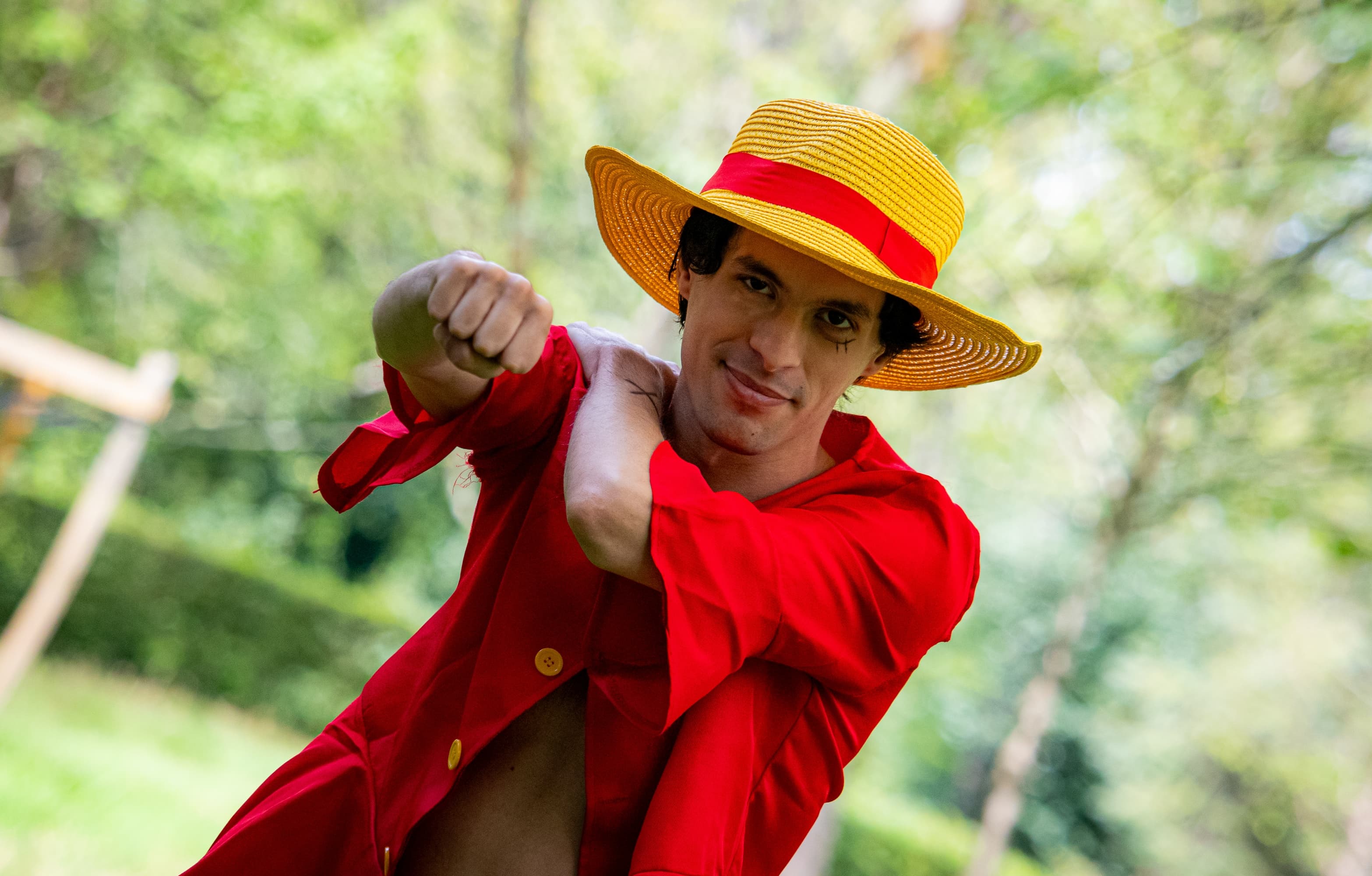 Monkey D Luffy - Photo 11