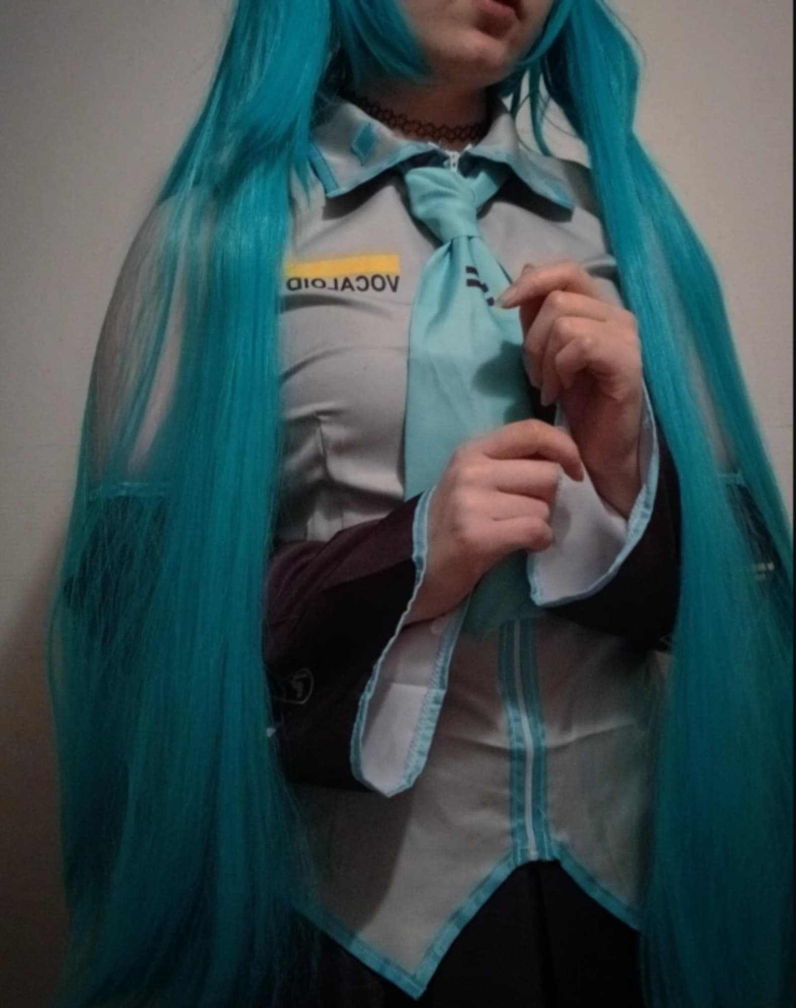 Hatsune miku  - Photo 4